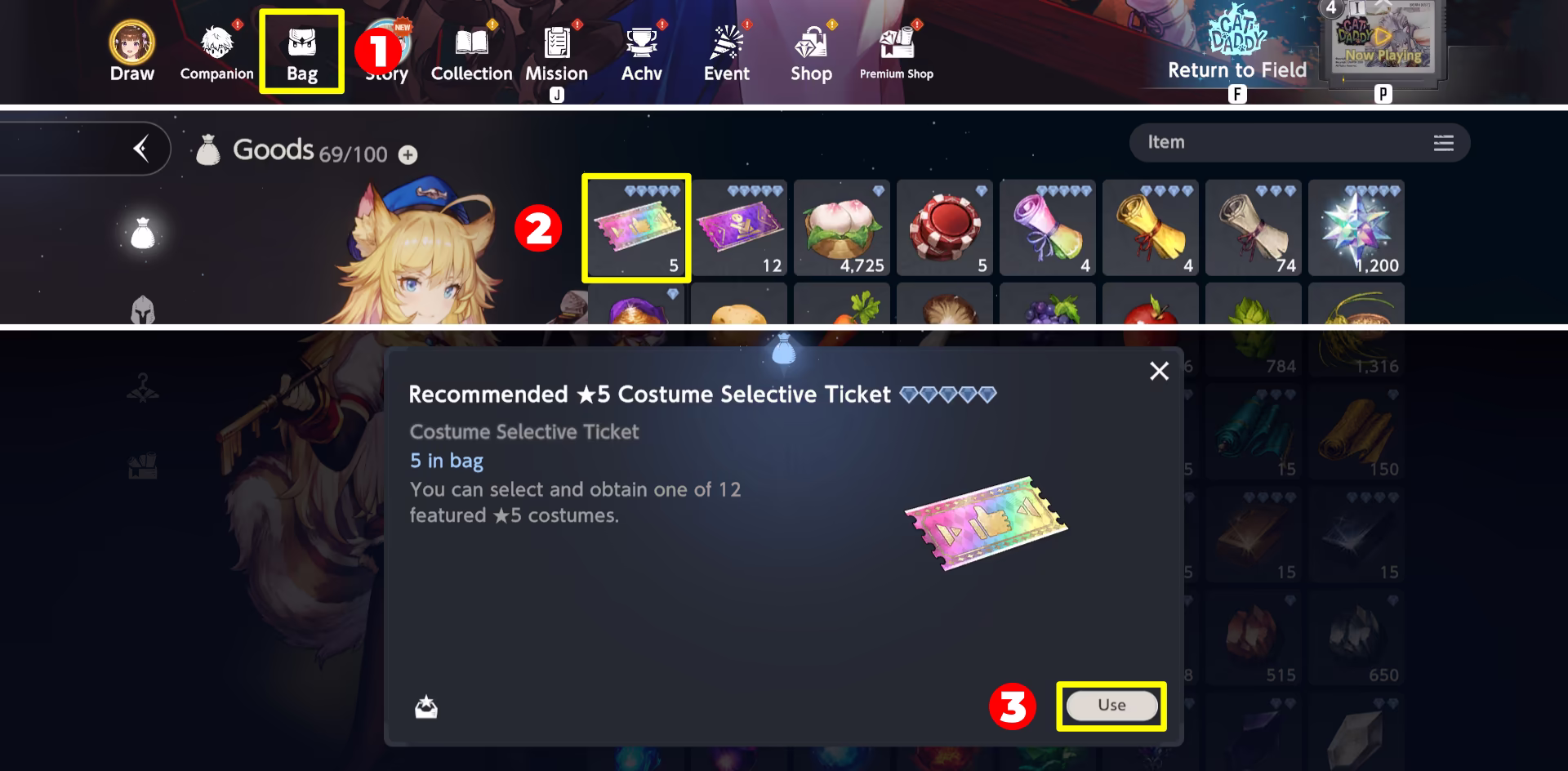 Recommended ★5 Costume Selective Tickets Usage Access