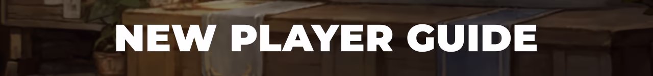 New Player Guide