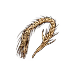 Spanking Wheat