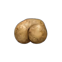 Shapely Potato