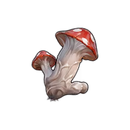 Virile_Mushroom