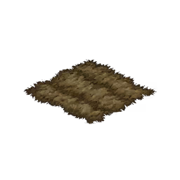 Field
