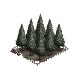 Logging Site